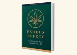 https://www.facebook.com/Exodus.Effect.USD/