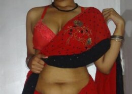 Experience the Best of Our Premium Escort Services in Udaipur